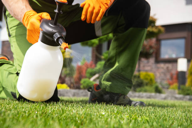 Bird Control in Bedford, IA