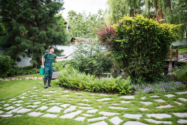 Best Pest Control Near Me  in Bedford, IA
