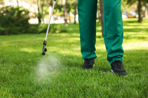 Best Residential Pest Control  in Bedford, IA