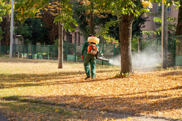 Best Pest Prevention Services  in Bedford, IA