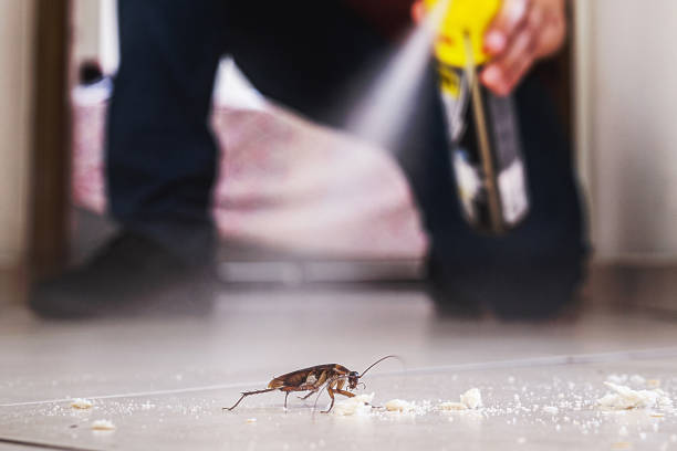 Trusted Bedford, IA Pest Control Experts