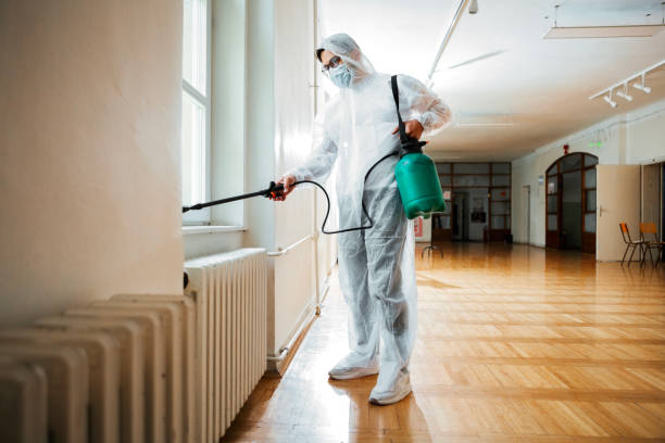 Best Pest Control Near Me in Bedford, IA